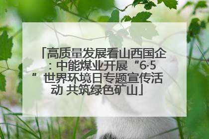高质量发展看山西国企：中能煤业开展“6·5”世界环境日专题宣传活动 共筑绿色矿山