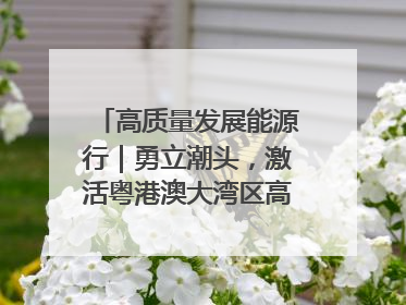 高质量发展能源行｜勇立潮头，激活粤港澳大湾区高质量发展动力源