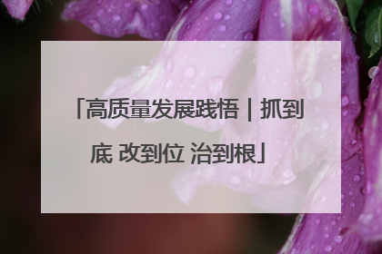 高质量发展践悟｜抓到底 改到位 治到根
