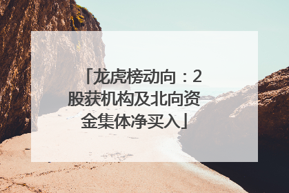 龙虎榜动向：2股获机构及北向资金集体净买入
