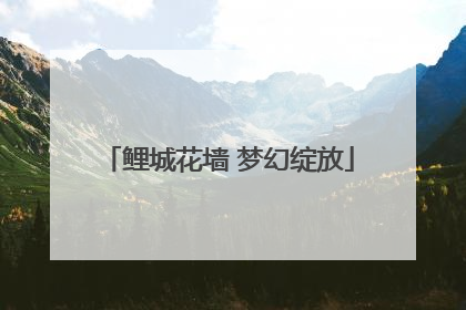 鲤城花墙 梦幻绽放
