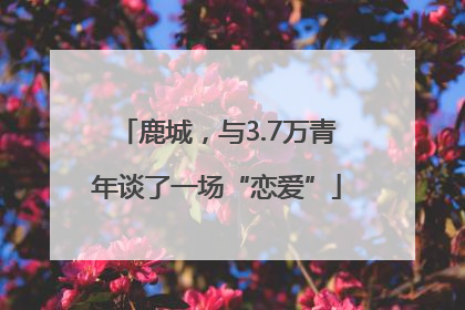 鹿城，与3.7万青年谈了一场“恋爱”