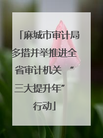 麻城市审计局多措并举推进全省审计机关 “三大提升年” 行动
