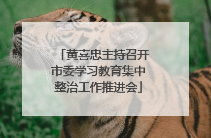 黄喜忠主持召开市委学习教育集中整治工作推进会