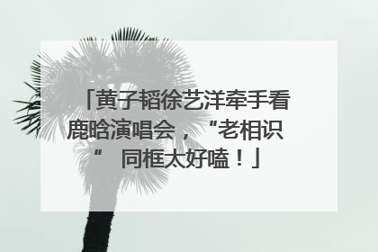 黄子韬徐艺洋牵手看鹿晗演唱会，“老相识” 同框太好嗑！