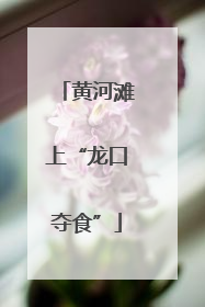 黄河滩上“龙口夺食”