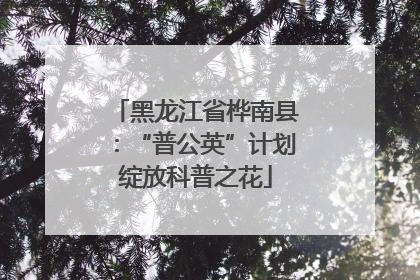 黑龙江省桦南县：“普公英”计划绽放科普之花