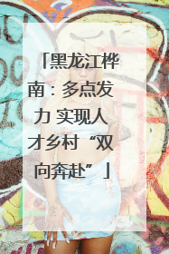 黑龙江桦南：多点发力 实现人才乡村“双向奔赴”