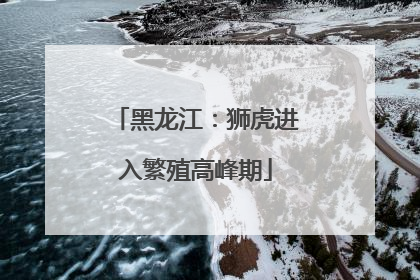 黑龙江：狮虎进入繁殖高峰期