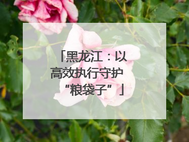 黑龙江：以高效执行守护“粮袋子”