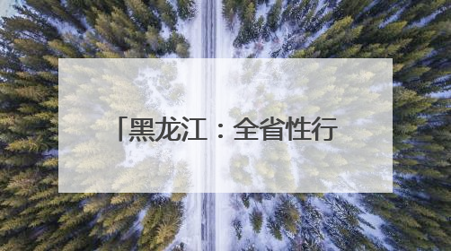 黑龙江：全省性行业协会商会助力伊春产业高质量发展