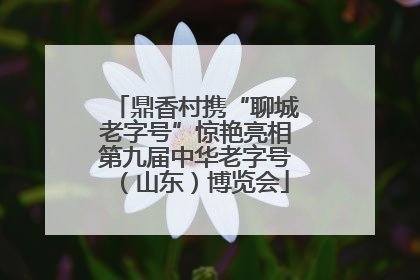 鼎香村携“聊城老字号”惊艳亮相第九届中华老字号（山东）博览会