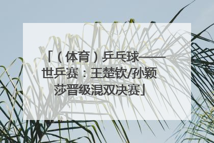 （体育）乒乓球——世乒赛：王楚钦/孙颖莎晋级混双决赛