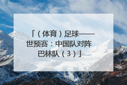 （体育）足球——世预赛：中国队对阵巴林队（3）