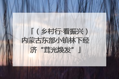 （乡村行·看振兴）内蒙古东部小镇林下经济“茸光焕发”