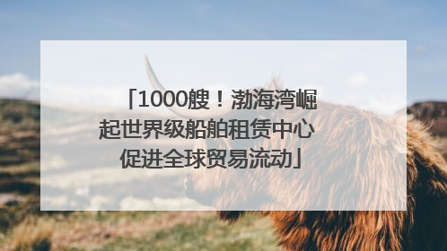 1000艘！渤海湾崛起世界级船舶租赁中心 促进全球贸易流动