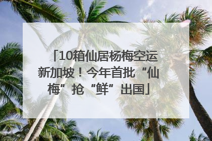 10箱仙居杨梅空运新加坡！今年首批“仙梅”抢“鲜”出国