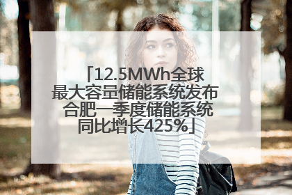 12.5MWh全球最大容量储能系统发布 合肥一季度储能系统同比增长425%