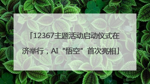 12367主题活动启动仪式在济举行，AI“悟空”首次亮相