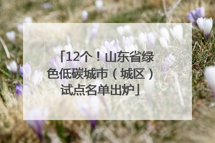 12个！山东省绿色低碳城市（城区）试点名单出炉