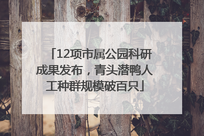 12项市属公园科研成果发布，青头潜鸭人工种群规模破百只