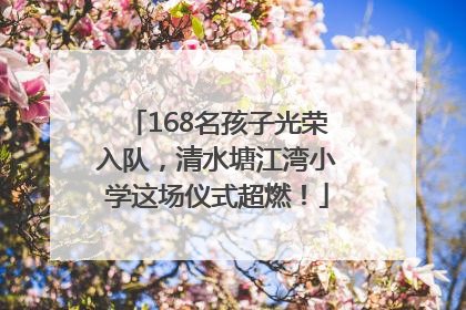 168名孩子光荣入队，清水塘江湾小学这场仪式超燃！