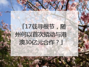17载寻根节，随州何以首次撬动与港澳30亿元合作？