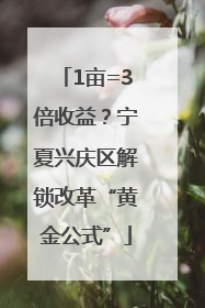 1亩=3倍收益？宁夏兴庆区解锁改革“黄金公式”