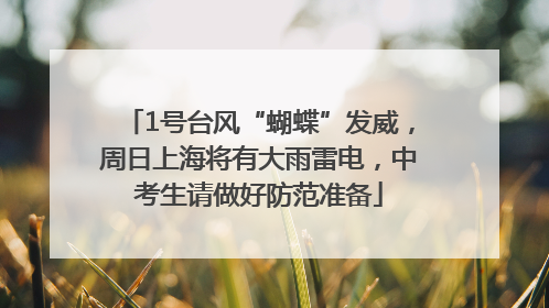 1号台风“蝴蝶”发威，周日上海将有大雨雷电，中考生请做好防范准备