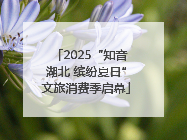 2025“知音湖北 缤纷夏日”文旅消费季启幕