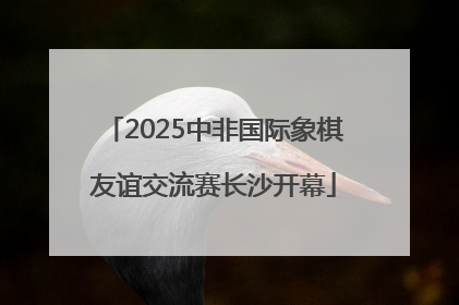 2025中非国际象棋友谊交流赛长沙开幕