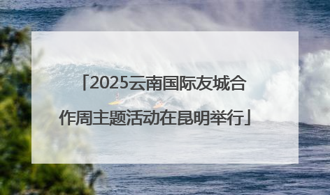2025云南国际友城合作周主题活动在昆明举行