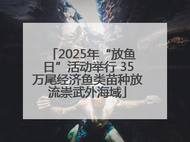 2025年“放鱼日”活动举行 35万尾经济鱼类苗种放流崇武外海域
