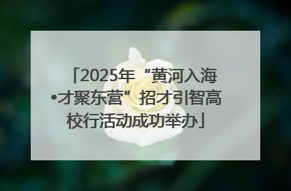 2025年“黄河入海•才聚东营”招才引智高校行活动成功举办
