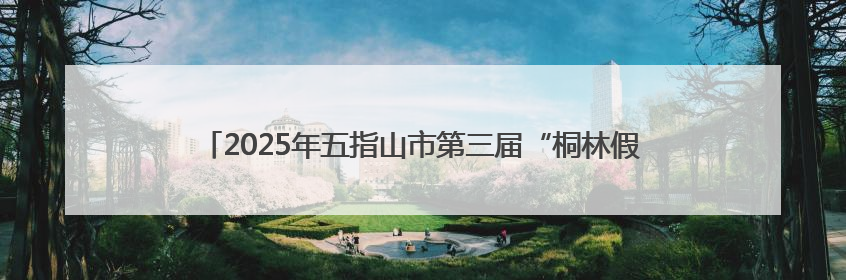 2025年五指山市第三届“桐林假日·老州府杯”足球比赛圆满落幕