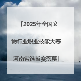 2025年全国文物行业职业技能大赛河南省选拔赛落幕