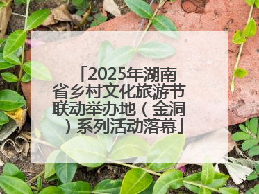 2025年湖南省乡村文化旅游节联动举办地（金洞）系列活动落幕