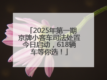 2025年第一期京牌小客车司法处置今日启动，618辆车等你选！