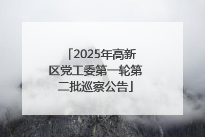 2025年高新区党工委第一轮第二批巡察公告