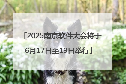 2025南京软件大会将于6月17日至19日举行