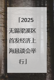 2025无锡梁溪区首发经济上海恳谈会举行