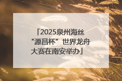 2025泉州海丝“源昌杯”世界龙舟大赛在南安举办
