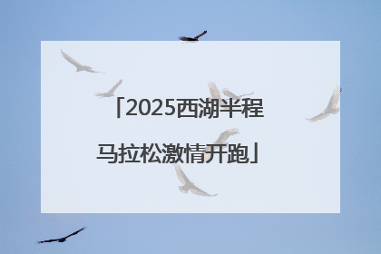 2025西湖半程马拉松激情开跑