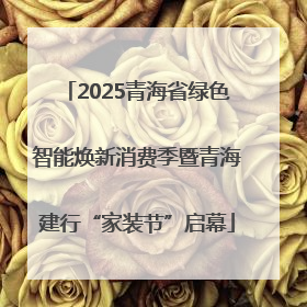 2025青海省绿色智能焕新消费季暨青海建行“家装节”启幕