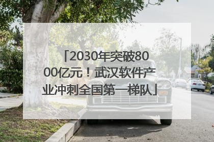 2030年突破8000亿元！武汉软件产业冲刺全国第一梯队