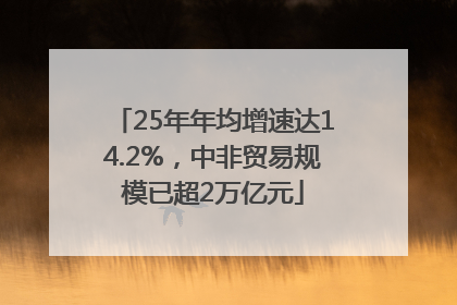25年年均增速达14.2%，中非贸易规模已超2万亿元