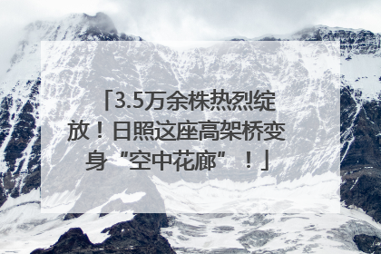 3.5万余株热烈绽放！日照这座高架桥变身“空中花廊”！