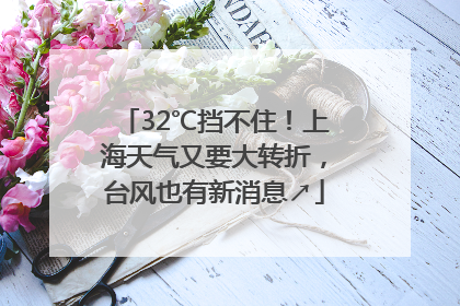 32℃挡不住！上海天气又要大转折，台风也有新消息↗