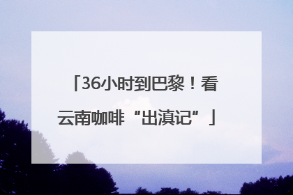 36小时到巴黎！看云南咖啡“出滇记”