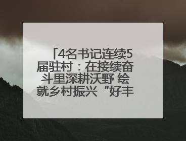 4名书记连续5届驻村：在接续奋斗里深耕沃野 绘就乡村振兴“好丰景”——浦发银行南京分行助力脱贫攻坚、帮促乡村振兴记事（二）